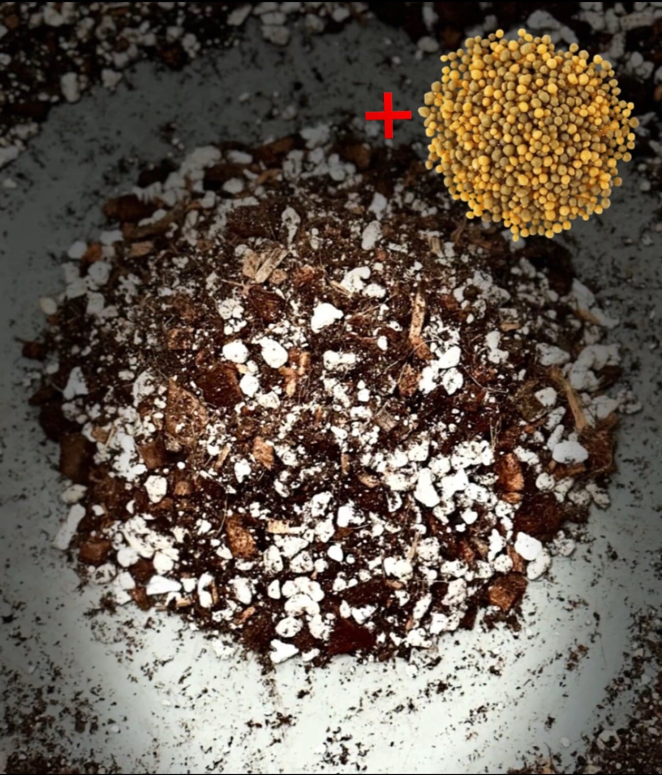 Chunky Aroid Mix, Handcrafted Houseplant Potting Soil Mix w Organic Mycorrhizal - Picture 5 of 9