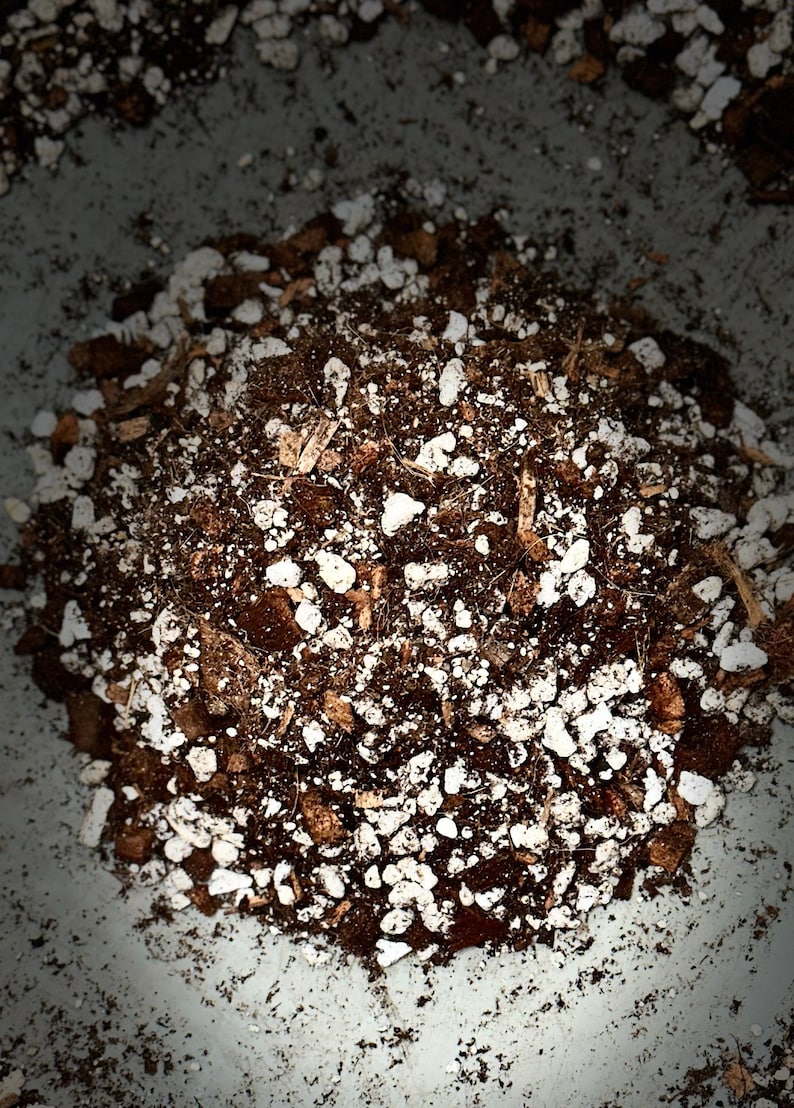 May include: Close-up of a mixture of brown soil and white perlite, a common potting mix for plants.