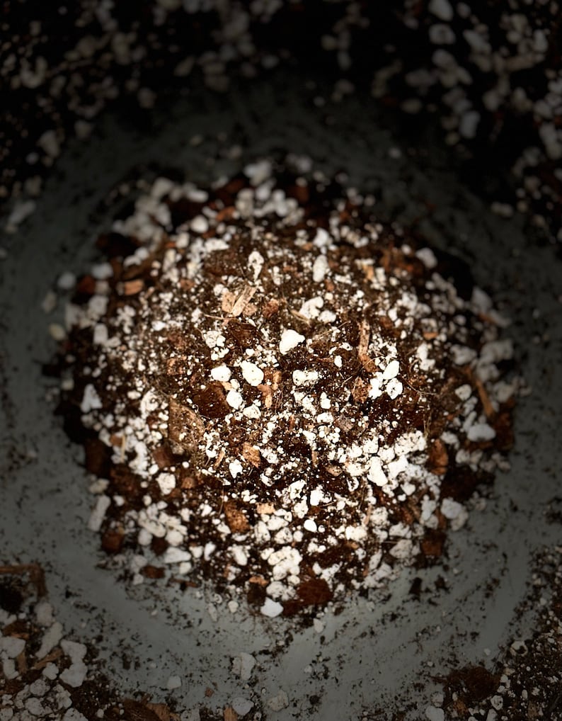 May include: A close-up of a pile of dark brown soil mixed with small white pebbles. The soil is in a container, and the edges of the container are visible.