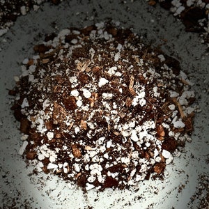 May include: Close-up of a pile of brown soil mixed with white perlite, a common ingredient in potting mixes.