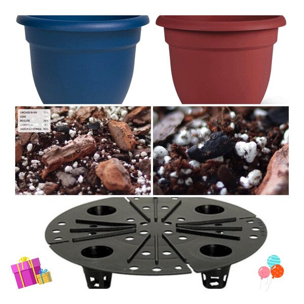 House Plant Starter Kit, Chunky Aroid Mix, Planter/Pot, Moisture Meter