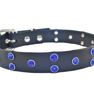 1&quot; Black Dog Collar with Blue Crystals