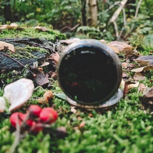 May include: A dark, reflective orb with a metallic rim rests on a bed of vibrant green moss. The orb's surface appears black, reflecting the surrounding forest environment. Red berries and fallen leaves add color to the natural setting.