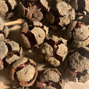 May include: A close-up of a pile of brown, dried pine cones. The cones are open and have a rough, textured surface.