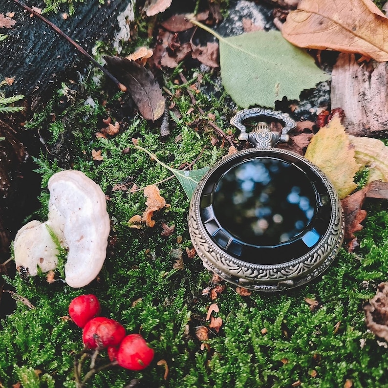 May include: A vintage pocket watch with a dark face and ornate, bronze-colored casing rests on a bed of green moss. The watch is surrounded by fallen leaves in shades of brown and yellow, with a few red berries and a white mushroom nearby. The scene evokes a natural, autumnal theme.