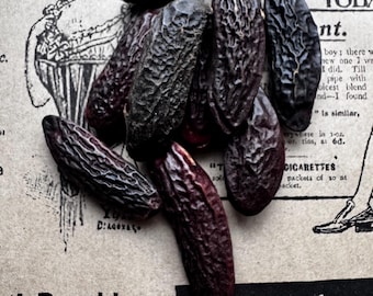 Organic Tonka Beans: Vanilla Almond Scent - Perfume & Magick