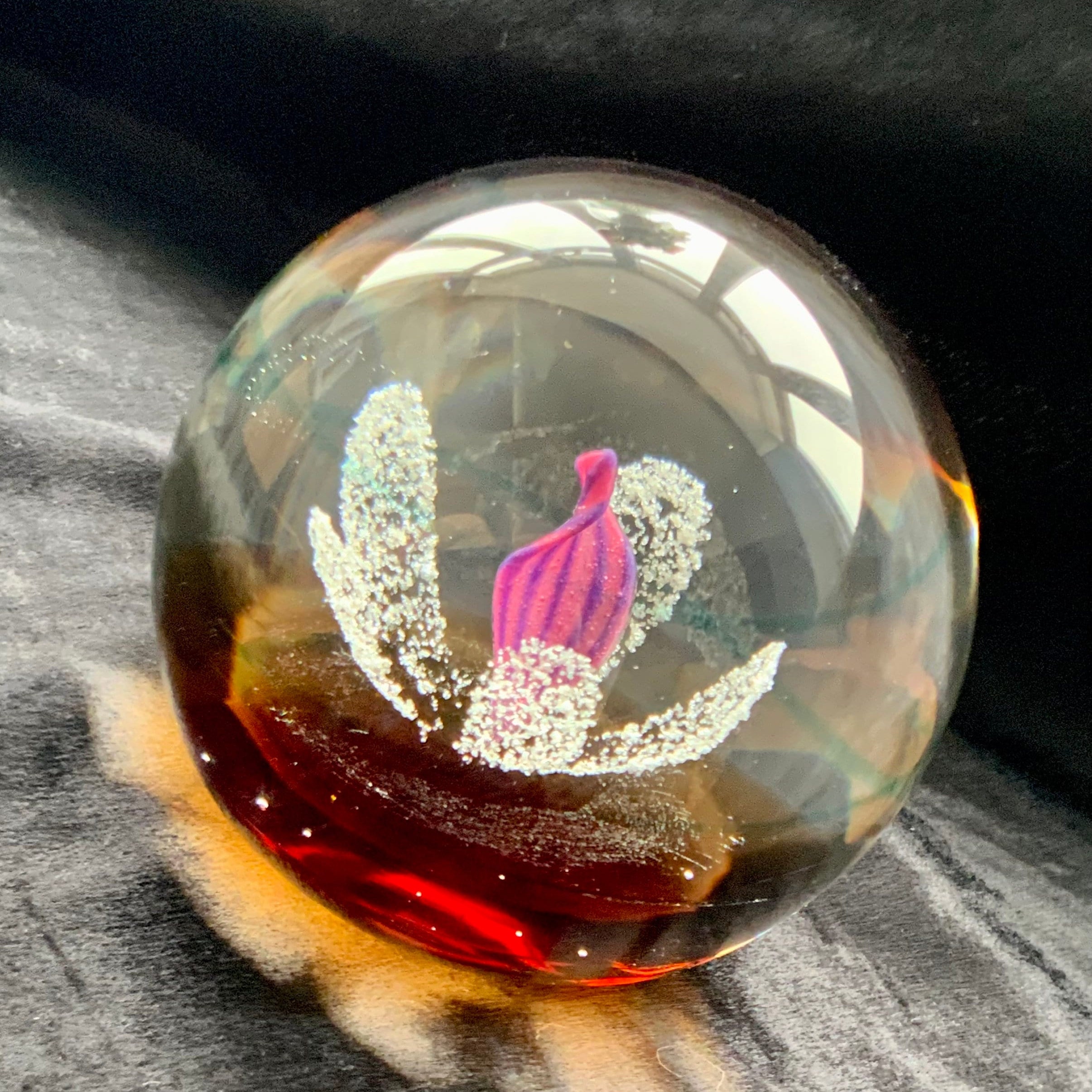 Rare Caithness paperweight, Limited Edition Dragonfly Glass Paperweight