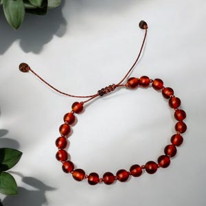 May include: A reddish-brown beaded bracelet with a sliding knot closure. The bracelet is made of round, polished beads and brown cord. The background is white with green leafy plants in the upper left corner.