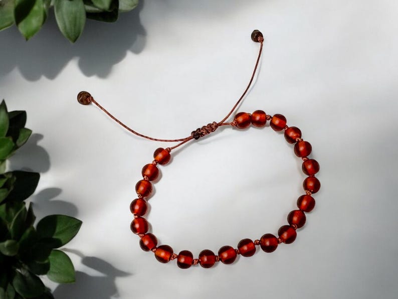 May include: A reddish-brown beaded bracelet with a sliding knot closure. The bracelet is made of round, polished beads and brown cord. The background is white with green leafy plants in the upper left corner.