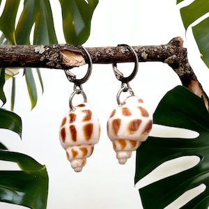 Shell Earrings Seashell Jewelry Beach Accessories Ocean Jewellery