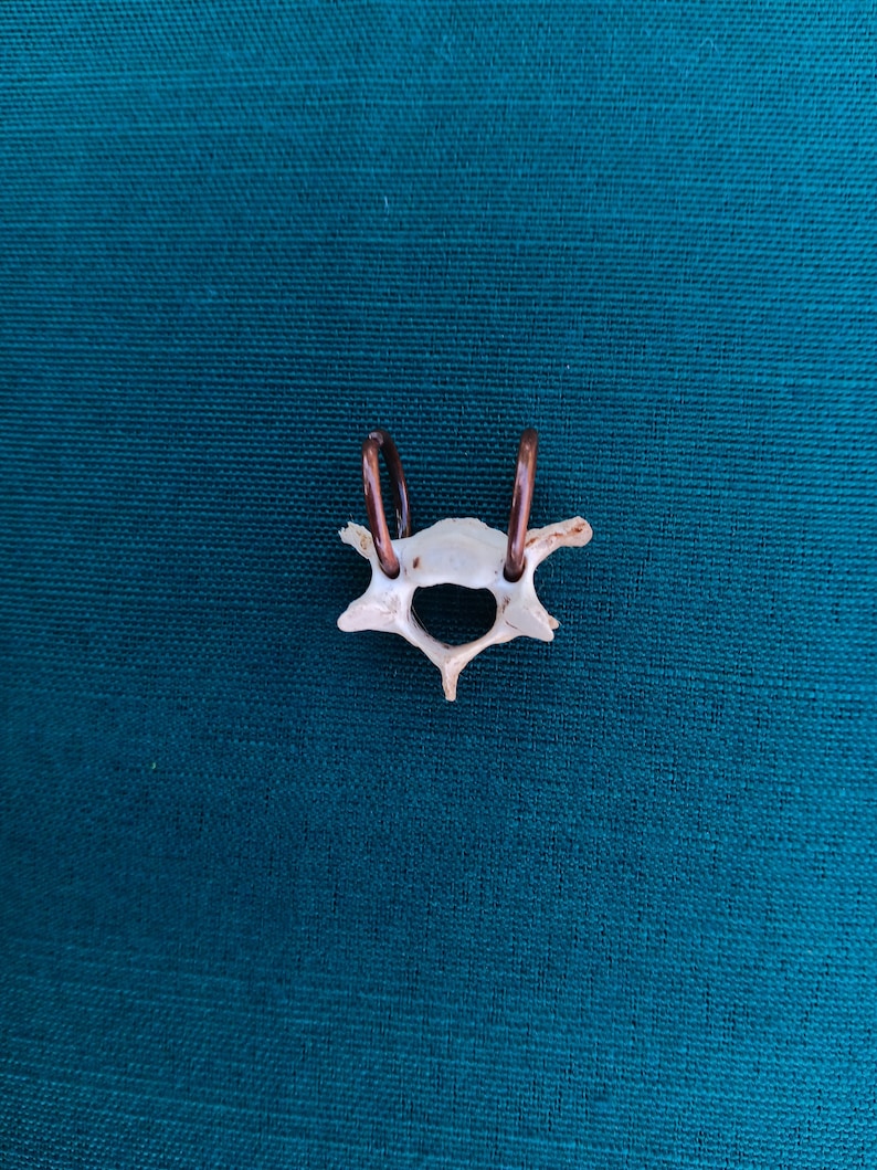 Bone Wire Wrap Pendant, Bone Necklace, Boho Necklace, Bone Decoration ...