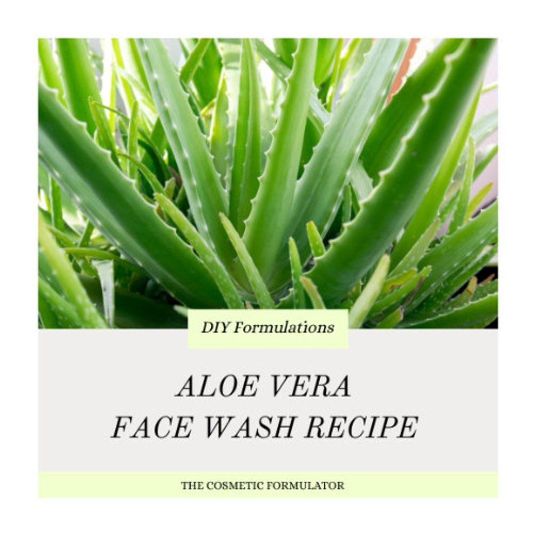 pet aloe vera Petal Aloe & Oatmeal Hydroboost Pet Wash – Petal Cares