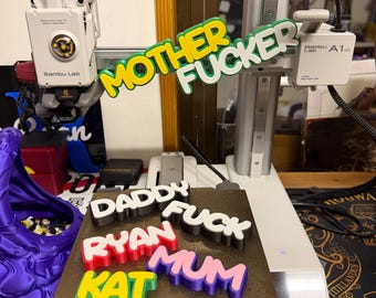 Custom 3D Printed Rude Word Magnet, Offensive Swear Word Novelty Gift