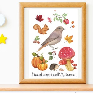 POSTER MONTESSORI AUTUNNO  con  Schede abbinate  Scoiattolo - Riccio- Zucca -  Chiocciola -   Fungo - homeschool - Camerette - Paperwall