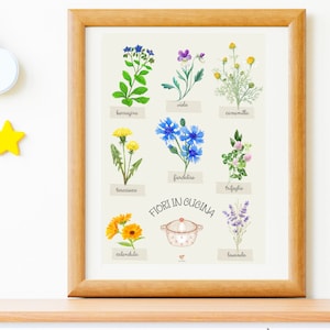 POSTER FIORI in CUCINA -Montessori-  - Poster - Homeschool - Scuola
