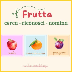 FRUIT - Nomenclature - e-book with elements to CUT - MONTESSORI