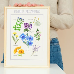 POSTER MONTESSORI  italiano-inglese - edible flowers - scuola -nido