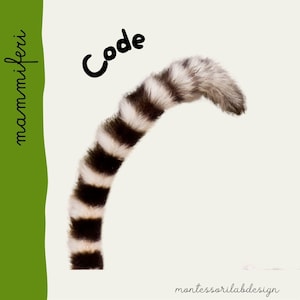 May include: A black and white striped lemur tail with the word "Code" written in black above it. The word "mammiferi" is written vertically on the left side of the image.