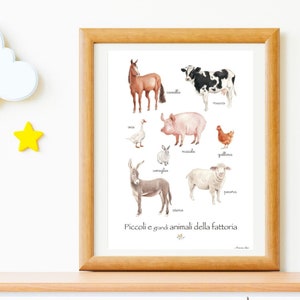POSTER  MONTESSORI -Stampe educative Homeschool, Materiali Montessori stampabili  Piccoli e Grandi animali della Fattoria - Scuola -Arredo