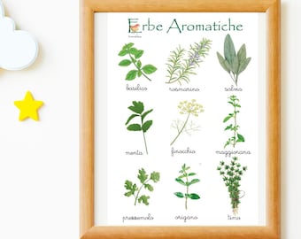 ERBE AROMATICHE PDF scaricabile stampe Montessori - appaiamento immagine/immagine -schede -Poster educativo Bambini Camere Illustrazione