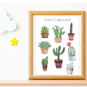 PIANTE GRASSE PDF scaricabile stampe Montessori - appaiamento immagine/immagine -schede -Poster educativo Bambini Camere Illustrazione