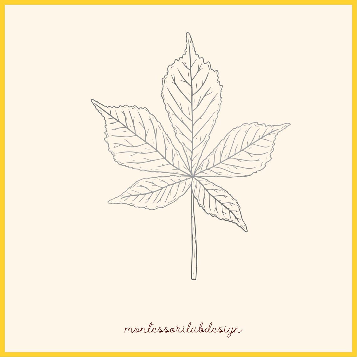 LEAVES - Cut - Paste - Color - Montessori Interactive Book - Children ...