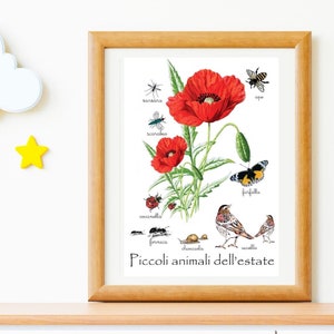 POSTER MONTESSORI  - animali -coccinella- farfalla- ape- scarabeo - zanzara - formica- chiocciola estate - scuola - nido - nursery