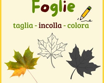 Könnte beinhalten: Ein ausdruckbares Arbeitsblatt mit dem italienischen Wort "Foglie" (Blätter) und Anweisungen zum Ausschneiden, Aufkleben und Ausmalen. Das Arbeitsblatt zeigt drei Bilder von Ahornblättern: eines farbig, eines umrandet und eines schwarz ausgefüllt.
