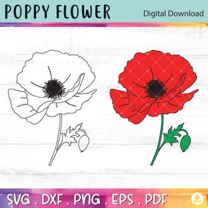 Poppy Svg, Poppy Clipart, Flower Svg, Flower Cut File, Floral Svg, Wildflower Svg, Poppy Svg, Poppy Png, Botanical Svg Bundle - A820