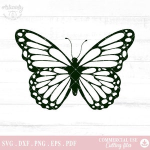 Butterfly Svg, Butterfly Png, Butterfly clipart, Butterfly, Cutting Files for Cricut A688