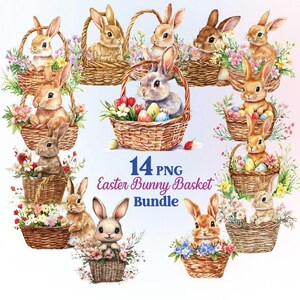 14 Easter Rabbit in Basket Clipart Png, Easter Clipart, Printable Watercolor clipart, High Quality JPG, Digital download, Paper craft - A961