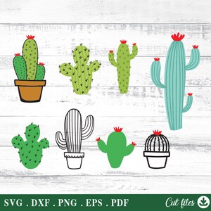 Cactus Svg, Cactus Clipart, for Cricut Silhouette, svg, dxf, eps, png
