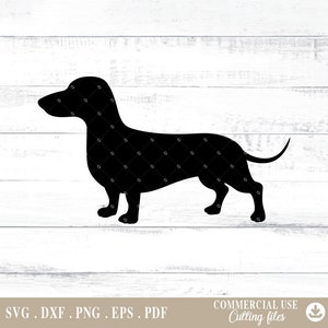 Dachshund Svg, Dog Svg, Dachshund Clipart, Dachshund Svg, digital file png,svg Cutting Files for Cricut