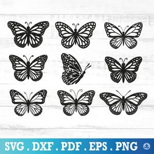 Butterfly Svg Bundle, Butterfly Bundle SVG Files, Butterfly Cut File, Butterfly SVG Layered, Svg, Png, JPG, Butterfly Cut file - A1111