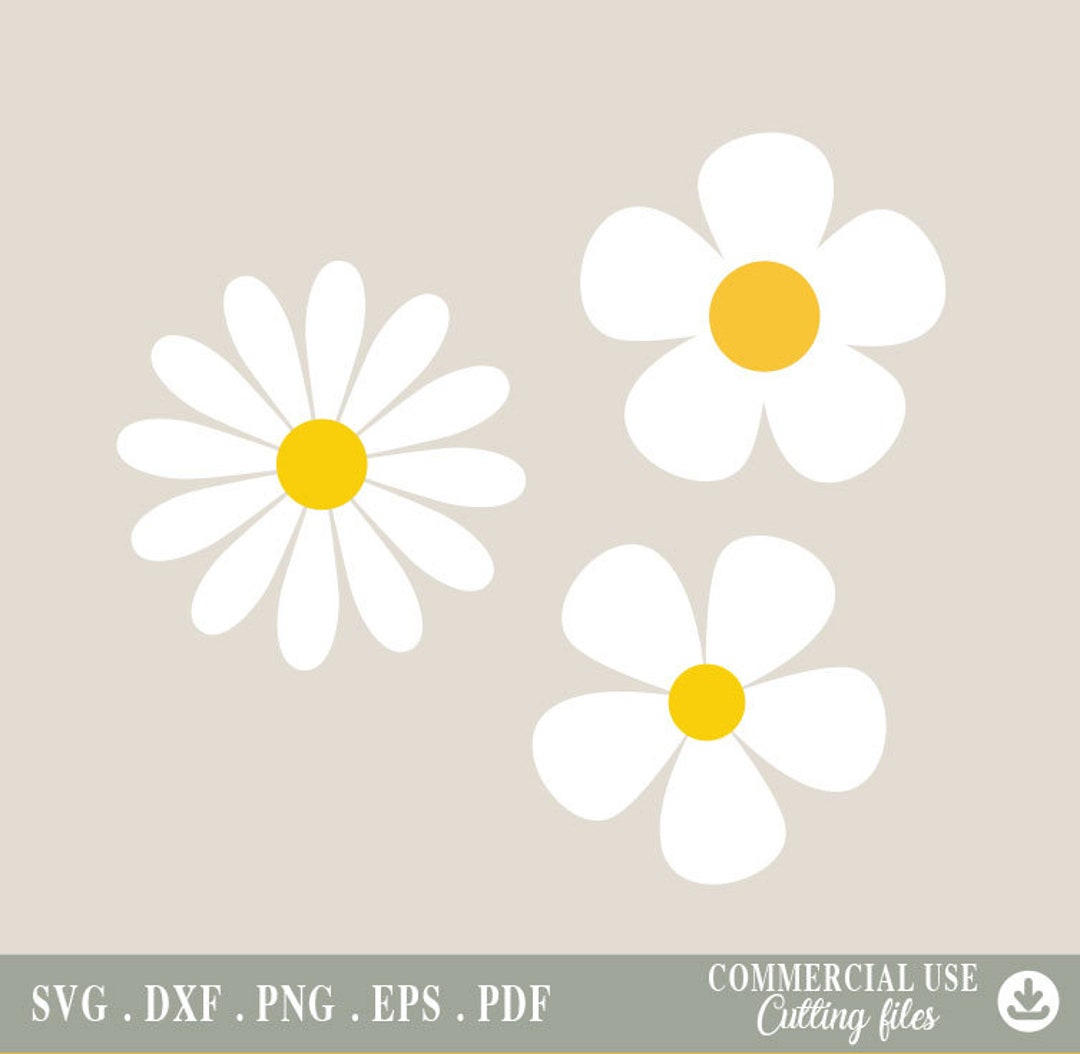Daisy Flower Svg Daisy Flower PNG, Spring Daisy Flower, Digital File