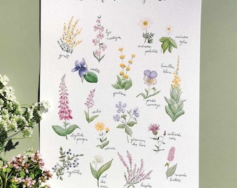 Affiche "Les Fleurs des Vosges"