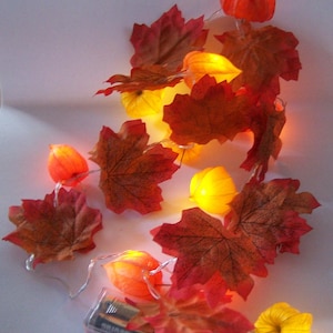 Könnte beinhalten: Lichterkette mit orangefarbenen und gelben Papierlaternen und Herbstblättern. Die Lichter werden mit Batterien betrieben.