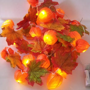 Könnte beinhalten: Eine dekorative Lichterkette mit künstlichen orangefarbenen Ahornblättern und leuchtenden orangefarbenen Lampionblumen. Die Lichter sind durch einen dünnen Draht verbunden und verfügen über ein transparentes Kunststoff-Batteriefach am Ende.