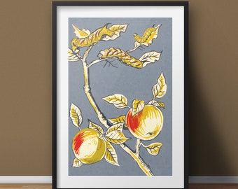 Vintage Fine Art Illustration Print - Apple Tree Gardening Wall Art