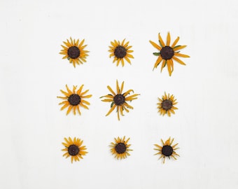 押し花のブラックアイドスーザン - 本物のルドベキアの花 9 個 - 黄色 - 小花 - 工芸品、樹脂、ジュエリー、キャンドル用 (F/RUDB 2)