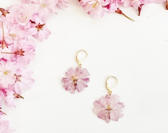 Cherry blossom earrings - real pressed flowers in resin - pale pink cherry blossoms - hypoallergenic stainless steel earrings (J/EARR CHE 1)