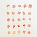 see more listings in the Pressed flowers section