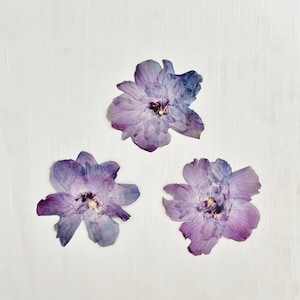 Fleurs d'hibiscus pressées - 3 vraies fleurs roses de sharon violettes - travaux manuels, résine, bijoux, mariage, bougies, cartes, décoration de gâteau (F/HIBI 2)