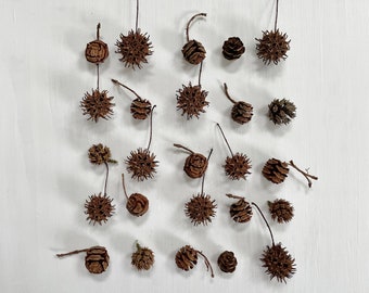 Dried mini pinecones - assorted gum, hemlock, redwood - 25 count - for crafts, resin, christmas, holidays decor, wedding decor