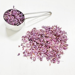 Petali di cercis essiccati - veri fiori di redbud - 1/4 di tazza - viola - artigianato, resina, gioielli, matrimonio, sapone, candele, cancelleria (D/CERC 1)