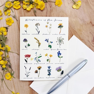 Tarjeta de flores silvestres de Nueva Jersey: flores prensadas impresas: ranúnculos, violetas, algodoncillo; tarjeta en blanco de 5 x 7 doblada y sobre (M/CARD WIL 2)