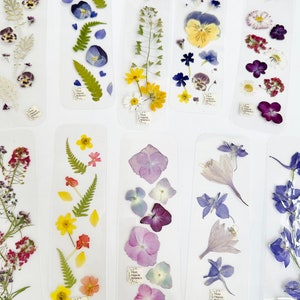 Segnalibro con fiori pressati - veri fiori secchi - laminato - segnalibro personalizzato - spago o nastro - regalo per lei, bomboniera (M/BOOK FLO 1)