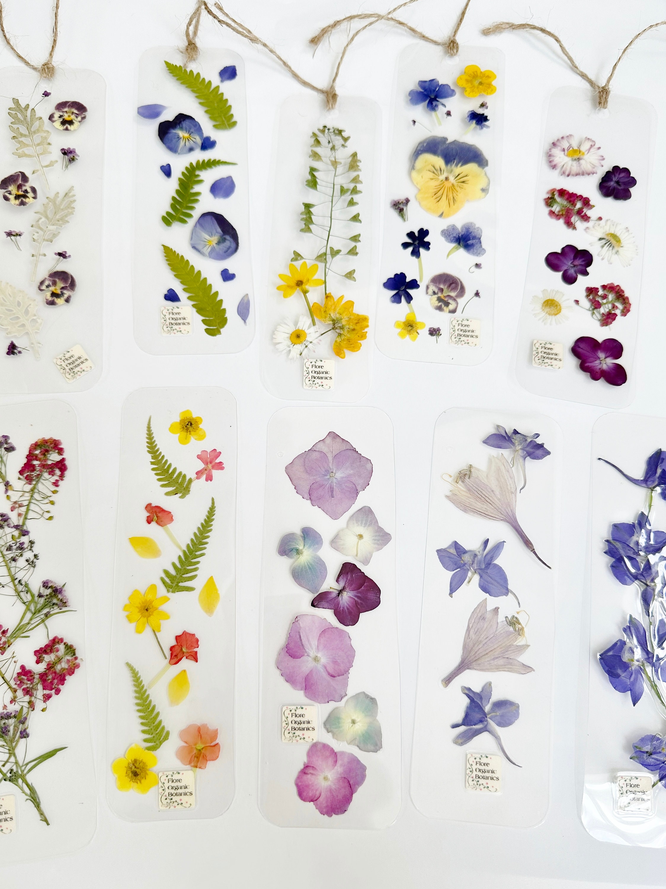 Set Of 4 Packets Real Pressed Flowers Includes 2 DIY Flowers Wooden