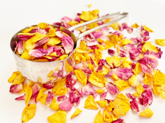 Getrocknete Rosenblätter - echte Rosenblüten - 1/3 Tasse - rosa, gelb, rot, lila - Potpourri, Hochzeitskonfetti, Seife, Kerzen, Papier (D/ROSE 1)