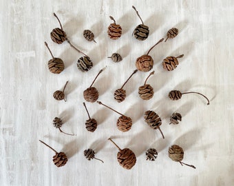 Dried redwood sequoia pinecones - real mini cones - 25 count - for crafts, resin, christmas, holidays decor, wedding decor